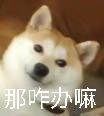那咋办嘛