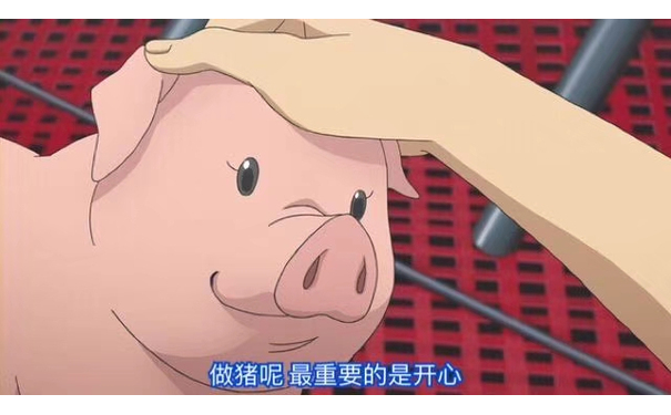 做猪呢最重要的是开心