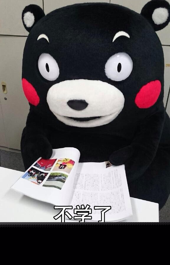 不学了 反正过年也会忘的 - 反正快过年了~什么都无所谓了~