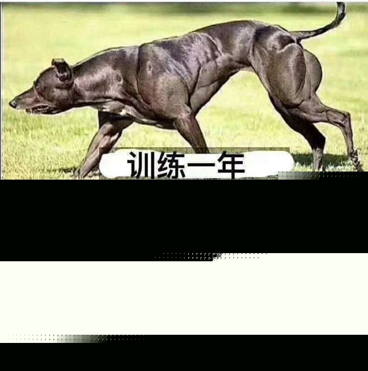 训练一年过年三天〕_过年_三天_训练_一年表情