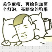 关你麻痹 我再给你装两个灯泡 亮瞎的你狗眼表情